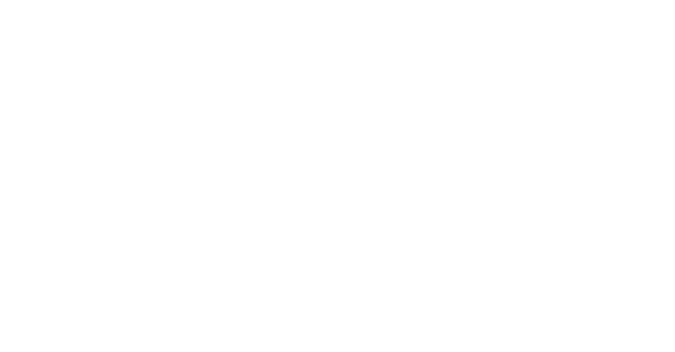 VLV Associates, Inc. 